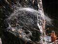 Spider Web