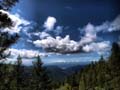 Wheat Overlook