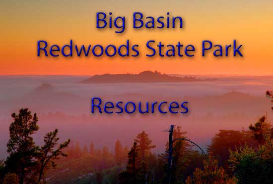 Big Basin Redwoods State Park Resources